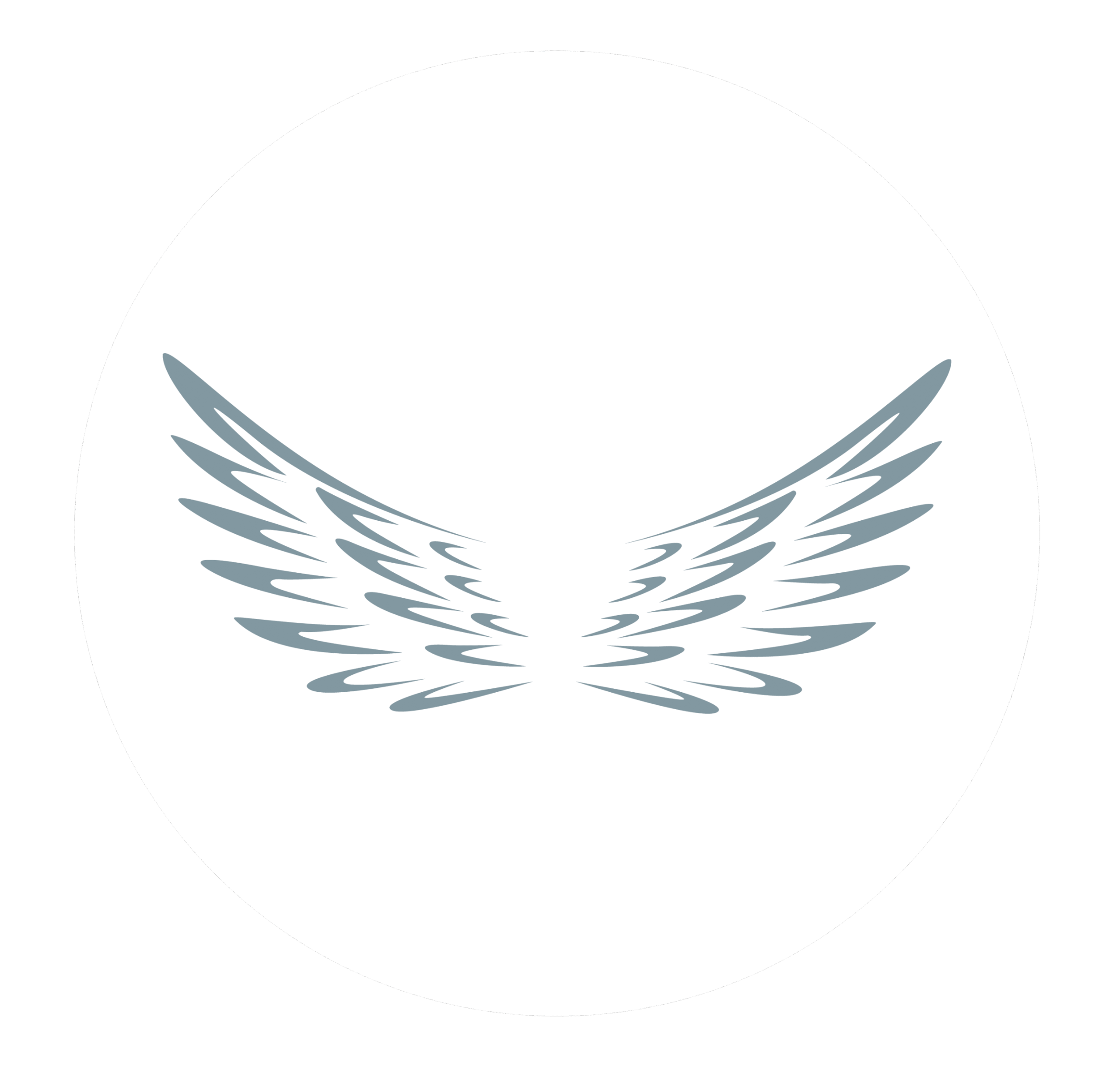 golinusgo-LogosandBrandMarks-Pippa_-_77601.-JP-11-DEC-2024-V1-R1-08 1 (1)